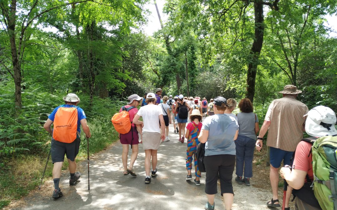 La Marche Nordique : Une activité complète et conviviale !