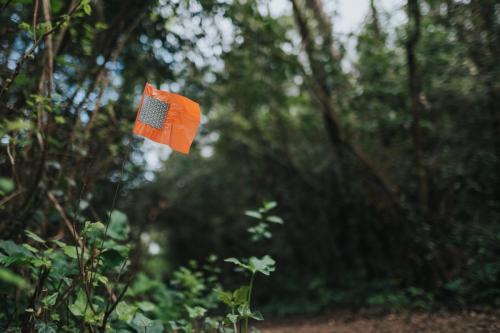 NordicWalkin'Bordeaux M?tropole