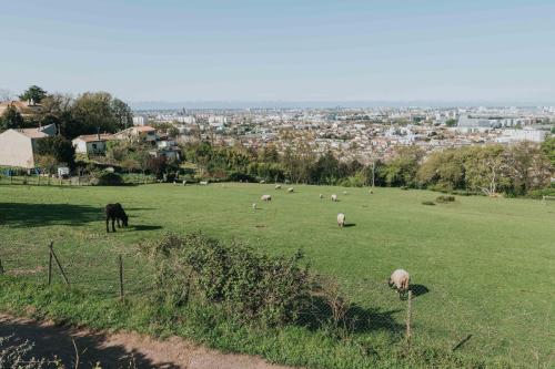 NordicWalkin'Bordeaux M?tropole