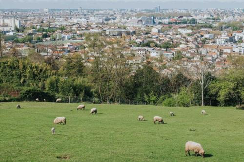NordicWalkin'Bordeaux M?tropole