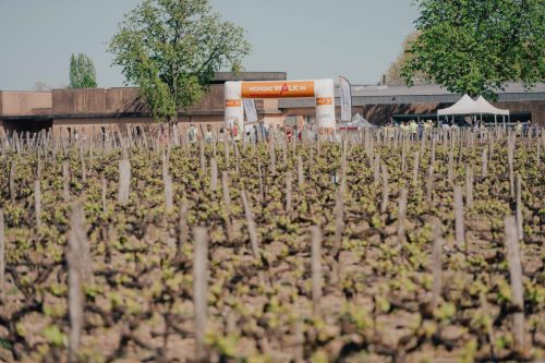 PRESSE-NWB26-040426-DE-LIEVRE-ACHILE-161
