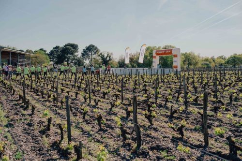 PRESSE-NWB26-040426-DE-LIEVRE-ACHILE-202