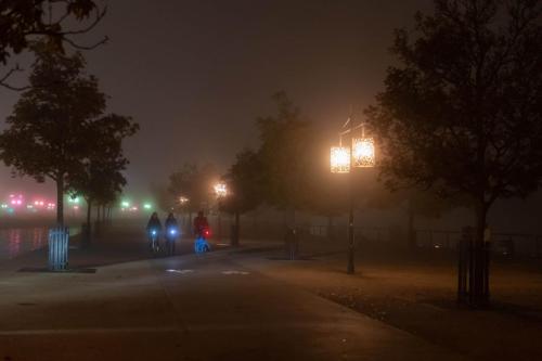 Quai de bordeaux nocture